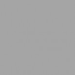 Silber (RAL 9006)